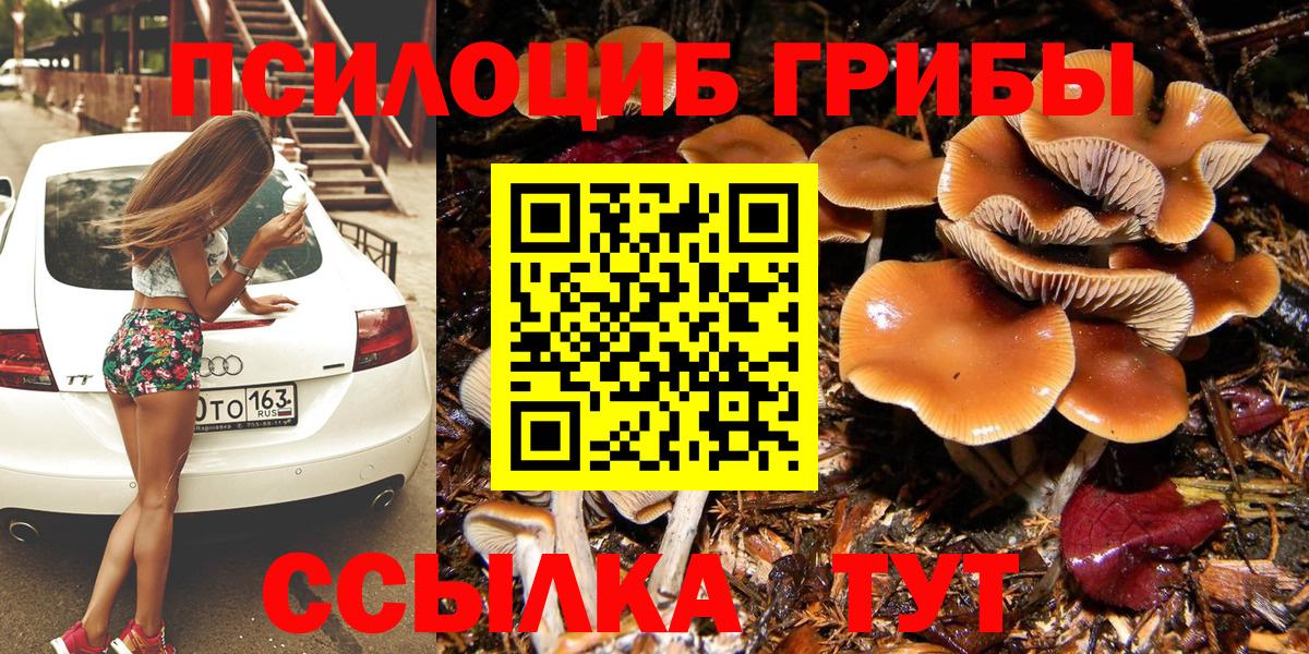 Галлюциногенные грибы прущие грибы  Псилоцибиновые грибы мицелий  Егорьевск  Вход с VPN 